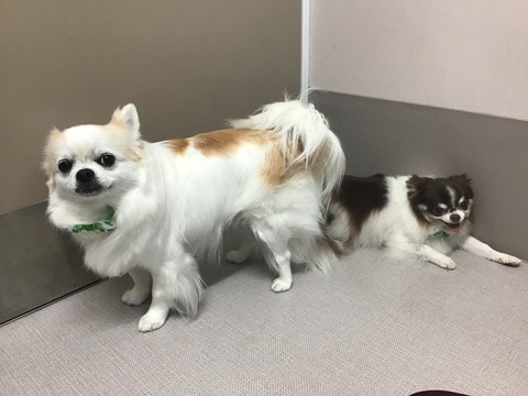 A808CAC3-24FF-44F3-8CA4-840B5762EF71