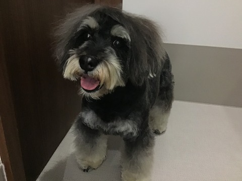 E57195BE-20EF-4019-913A-59FE288C2DD0