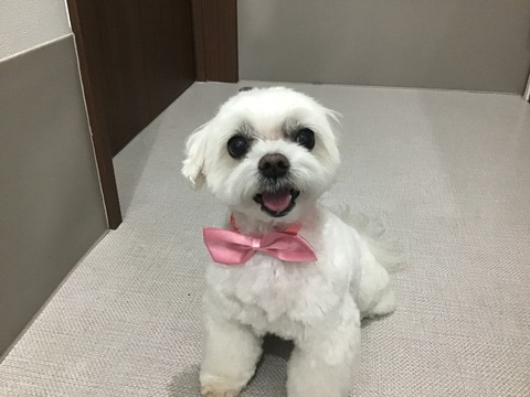 BF6E76A7-21FB-4EFC-A764-2EE47561E568