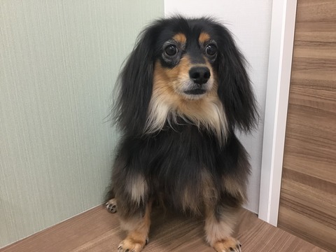 CB850BF4-D697-4E77-9A63-21B86DDF92A2