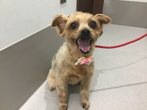 E72E18E8-5D66-408B-9824-09F905D5197F