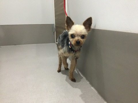 B1D29998-DD81-47C7-8258-0F7E8345E6C7