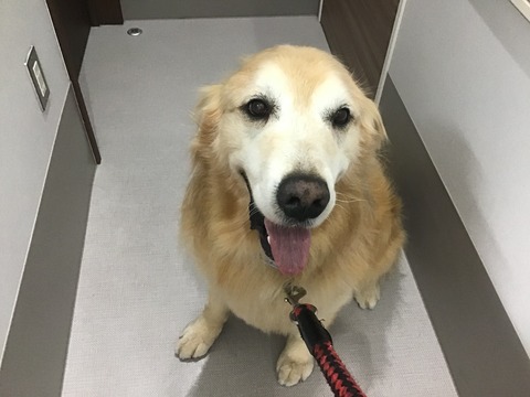 F9B9AACB-9FEC-4122-8582-77A92B9C59A6