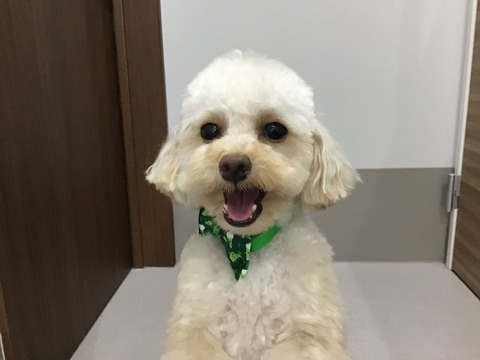 0B89ED5F-62C1-42C7-BB3A-16537480D721