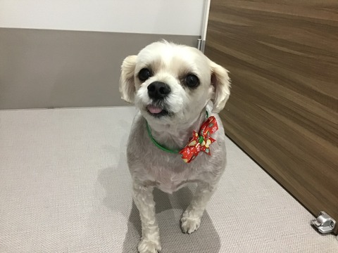 3999E73B-E538-45DE-8DF6-63DEA3C5A61C