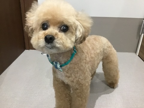 31DE37F6-4984-4572-8B25-9DF23E287C82