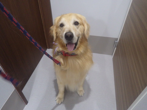 RIMG1980 - コピー