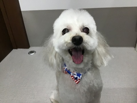 B421AA34-B8BA-420D-BBC0-3AF281D4A66A