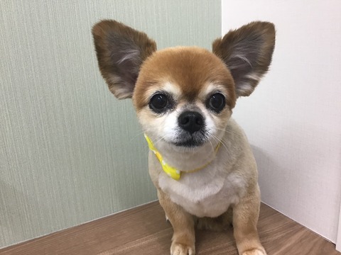 34B7D3C1-7BF8-4524-89C5-3EED113908A5