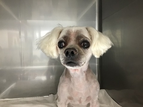 5ABE7B48-8B7F-4730-95A3-83D1281CBEF6