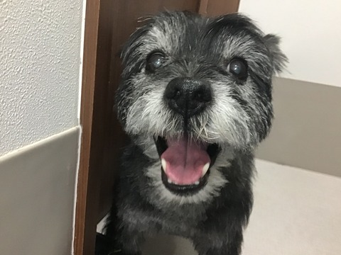 D89BF6D2-B36B-42B7-9AED-21317BB13AFA