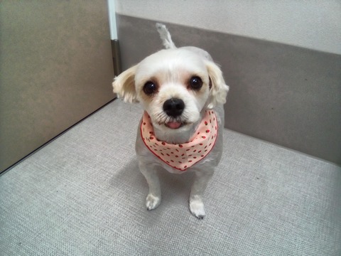 IMG_20200828_113653_DRO (1)