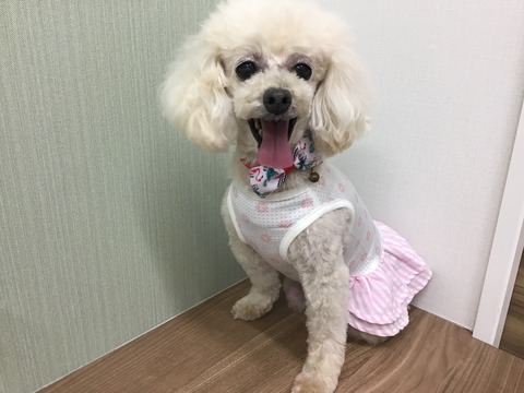 5C618377-2A96-4F44-8D3B-35E4D46917A0