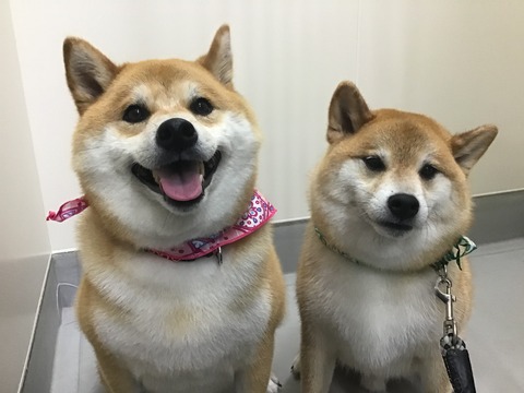 86415879-2180-4E1E-9B9F-857070E6048B