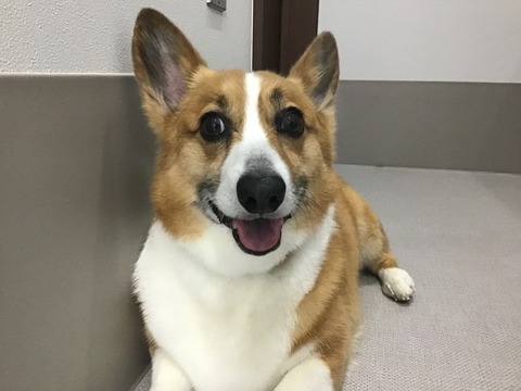 E94AAF85-BBB6-4AE4-8C90-20611085217F