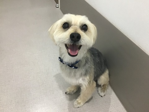 848299AE-16AD-4D89-9329-BE1F7A8948E6