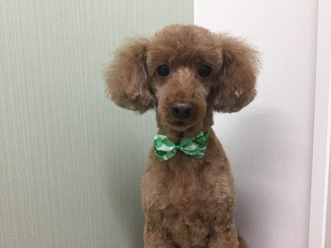 2A41B99F-22E9-4EC4-B034-8C02E1E3627D