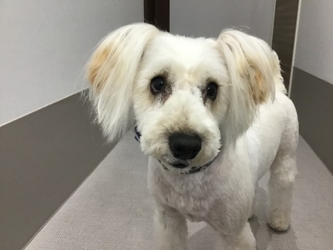 FFDE1B9E-7522-465B-B456-602D4E4178FC