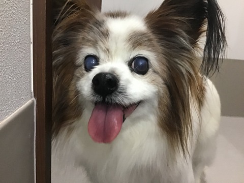 B10F56E0-32AF-4C7A-8533-A96199C0EE1D