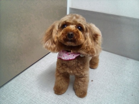 IMG_20200828_180155_DRO