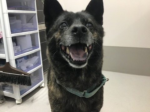 087E8D9A-C071-4ACC-A41E-75B9BC4D1956