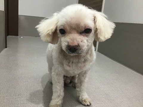 83F04210-D89D-436B-B580-3167B83BB389