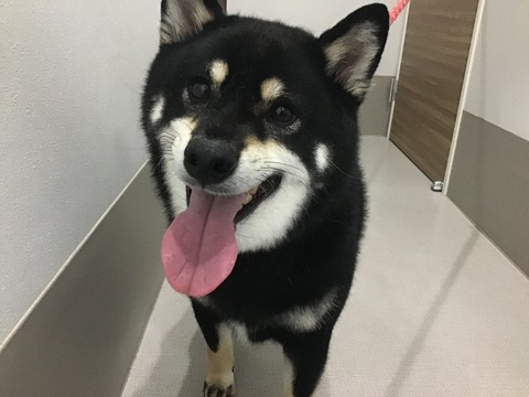 DA15A3C2-04B8-471C-9531-8D5F8A35B083