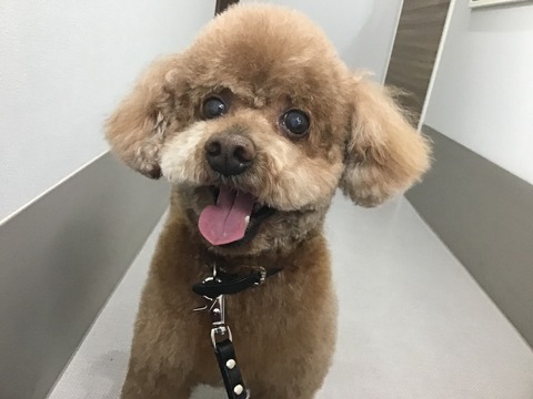 AD7191A3-8472-4EC8-94E7-ECD02D512389