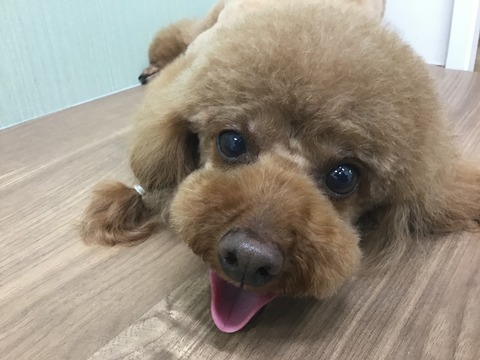 450779AA-A062-43C0-8451-D949F142B58C