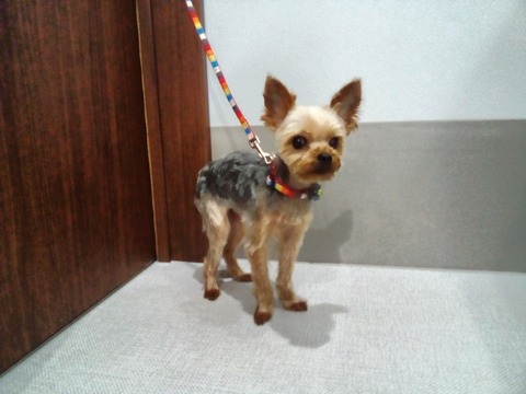 IMG_20200829_170055_DRO