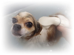 q5tuItpyYeh3Y671566173531_1566173559