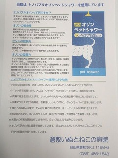 2Z3iW5ECaj5yycG1566173475_1566173489