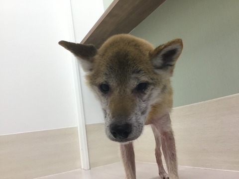 7D40ED6E-3C42-4C5C-92A6-8D45BEE3820E