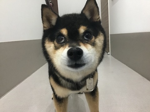 95E6B62C-CA04-45CE-B1DD-D62B444C6FB5