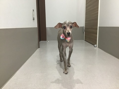 CD56EE71-3D99-4F22-8B11-25FF85EE74A6