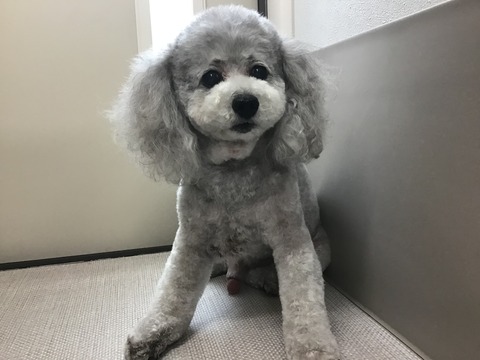 6D6A8DAC-9815-4D53-B17E-C22A3FF9A2EE