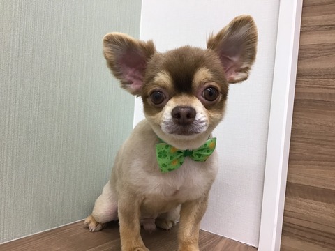 639CDA24-D46E-4958-BA56-8654381729FF