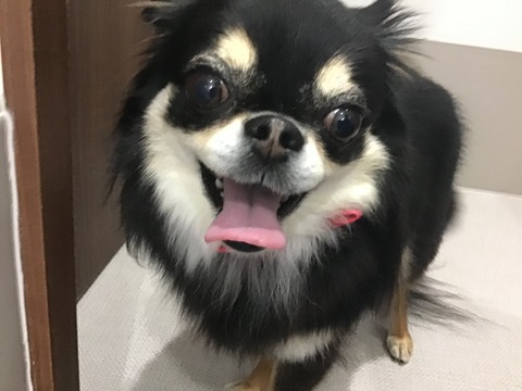 B87B1C8F-60BD-4167-923F-05EF7F673A60