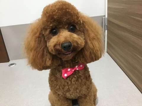 F9CFD2B1-4B92-40CD-B1F4-3BD659D98435