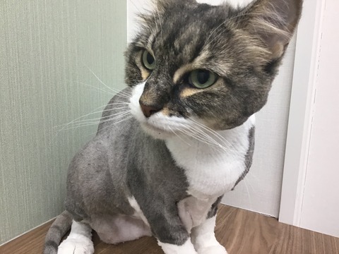 C18F4E4E-0F94-4460-8117-12AE1E2EA5A1