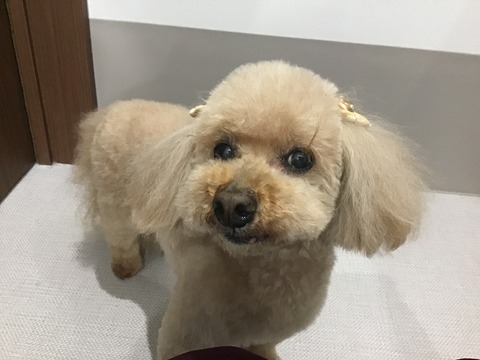 8BFD65A8-21E3-4B4B-B7E4-255DF314D007