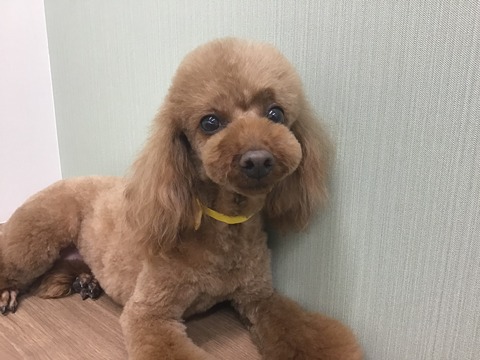 C610F03A-C766-4D90-AAF9-81B365B5F1BA