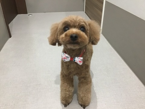 4AEFAD30-0AEA-497D-9BB1-8D00C232E30E