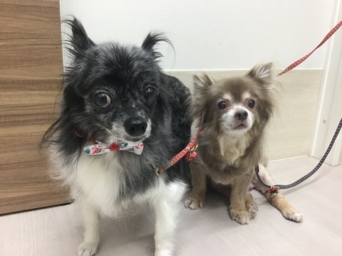 F2146A0C-ECA7-43F0-BC93-706689009AF9