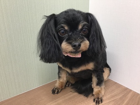 4A3D090F-52D4-4A45-87E8-0E2F8C2BEF5E