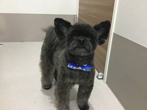 EF6D2789-1F04-4843-BE0F-111C59C4035F