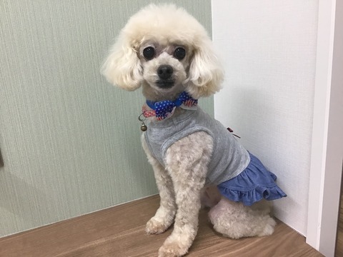 BDA9B2AE-720D-4121-907D-76F12020E92F