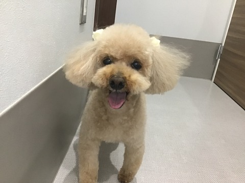 9BDFB23E-AFCA-466C-96F5-C7C0DC263C76