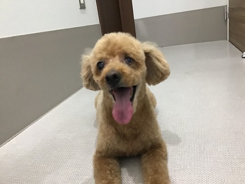 BEC68416-336C-4896-922A-F88DEB200926