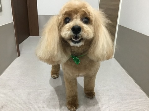 40063968-3142-4389-AED8-E289F40ACEE6